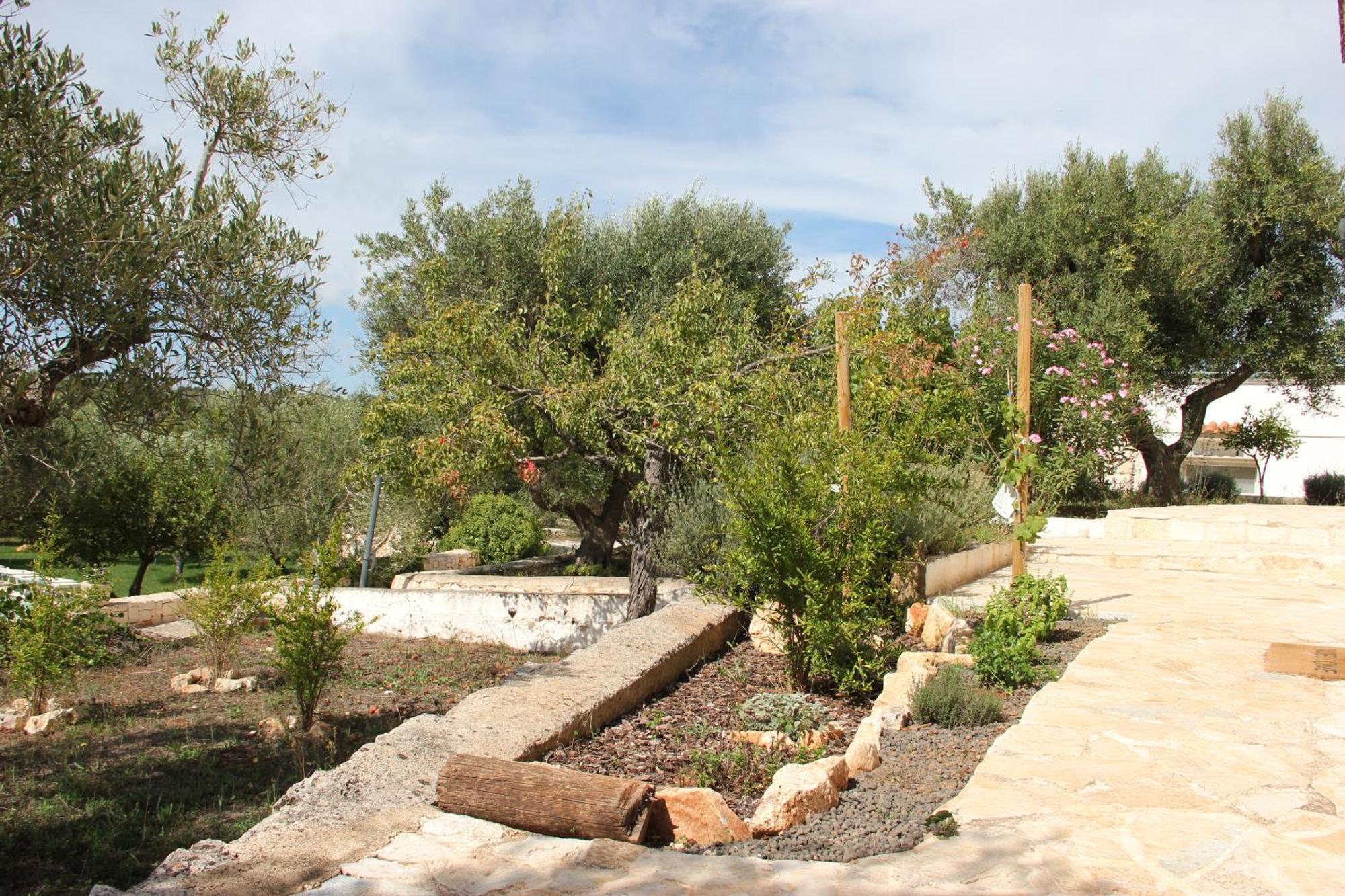Le Terrazze Della Crianza Apartment Ostuni Exterior photo