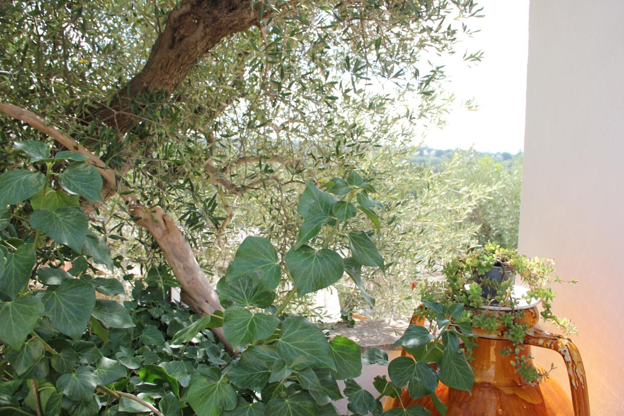 Le Terrazze Della Crianza Apartment Ostuni Exterior photo
